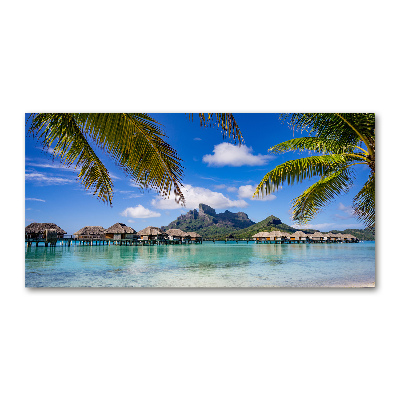 Glass art print Palms on bora bora