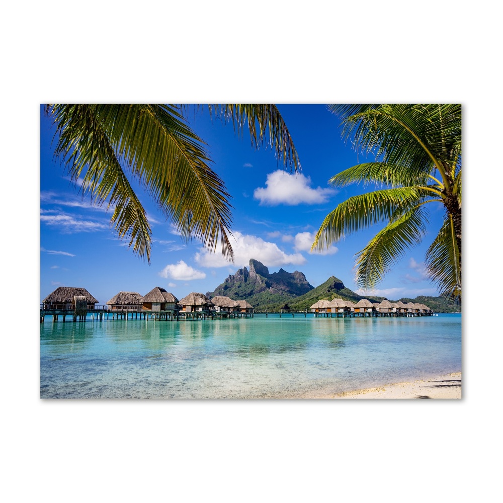 Glass art print Palms on bora bora