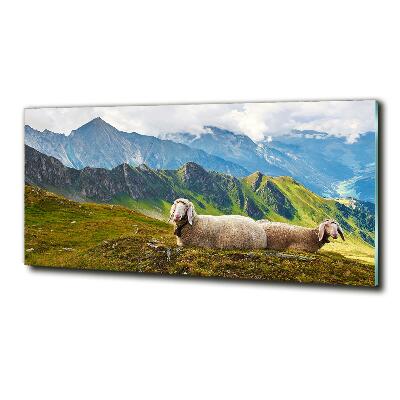 Glass art print Sheep in the alps