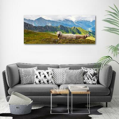 Glass art print Sheep in the alps