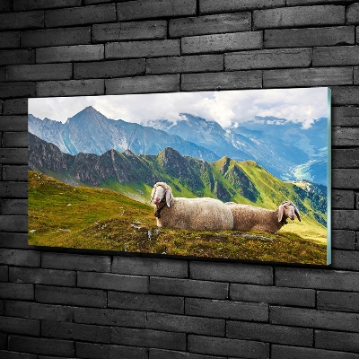 Glass art print Sheep in the alps