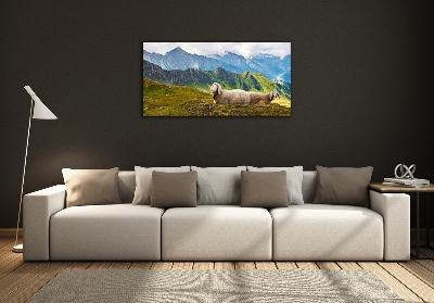 Glass art print Sheep in the alps