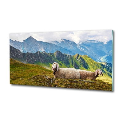 Glass art print Sheep in the alps