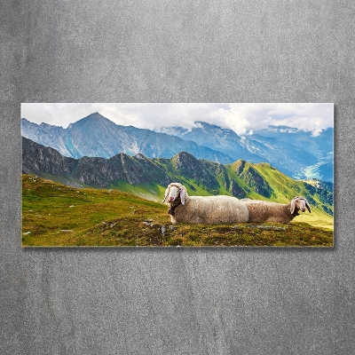 Glass art print Sheep in the alps