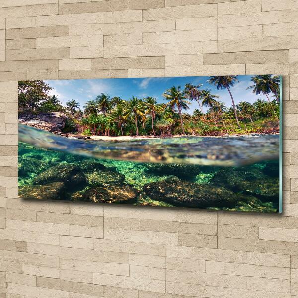 Glass art print Tropical beach