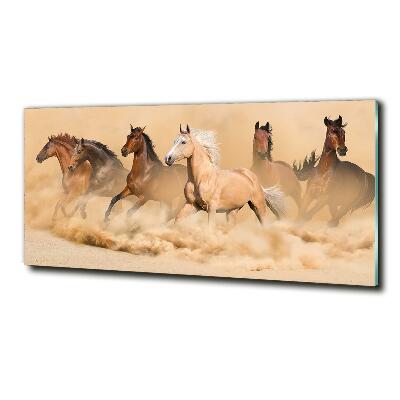 Wall art on glass Desert's horses