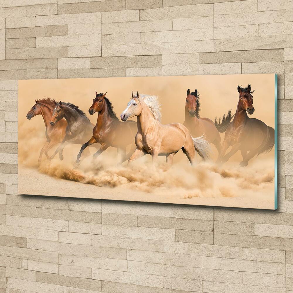 Wall art on glass Desert's horses