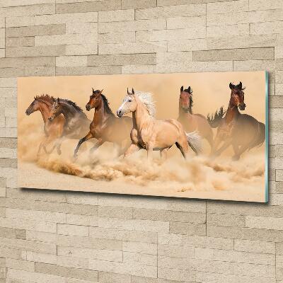 Wall art on glass Desert's horses