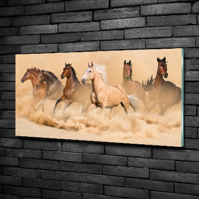 Wall art on glass Desert's horses