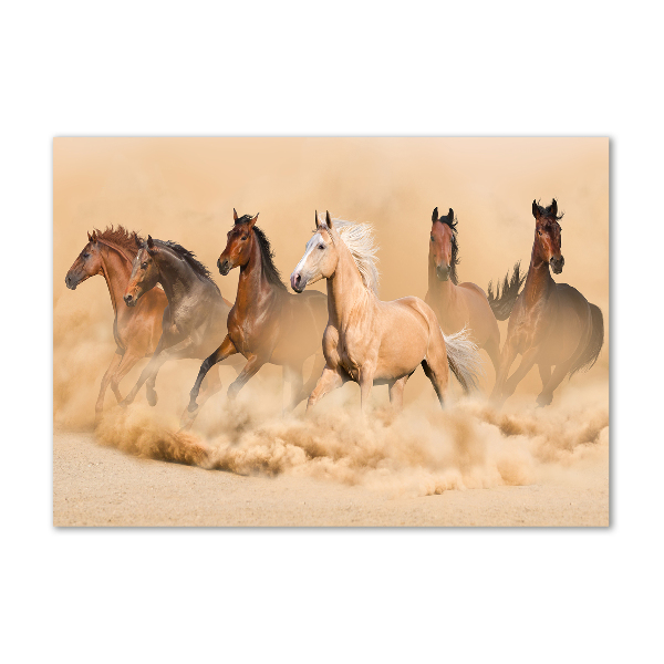 Wall art on glass Desert's horses