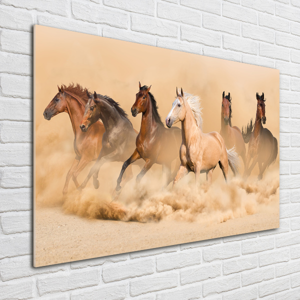 Wall art on glass Desert's horses