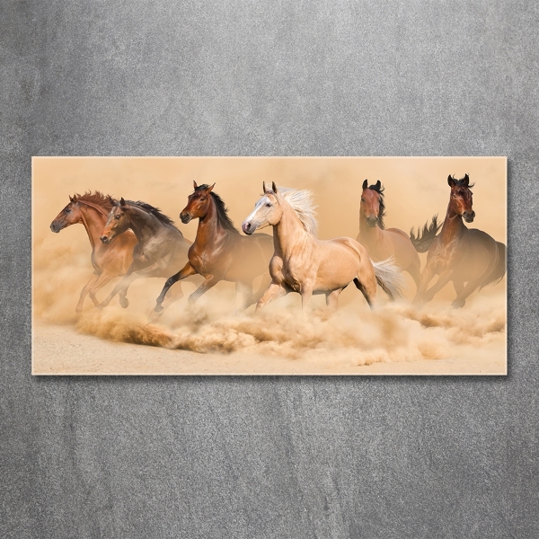 Wall art on glass Desert's horses