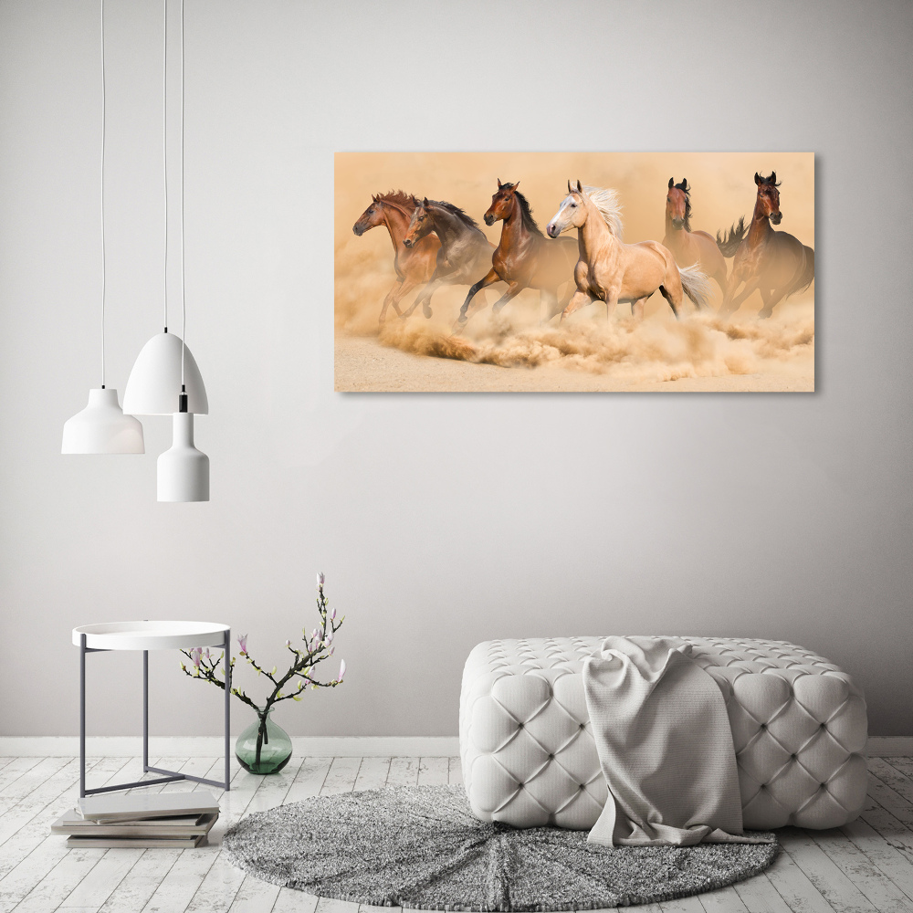 Wall art on glass Desert's horses