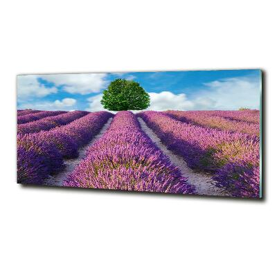 Glass art picture Lavender field