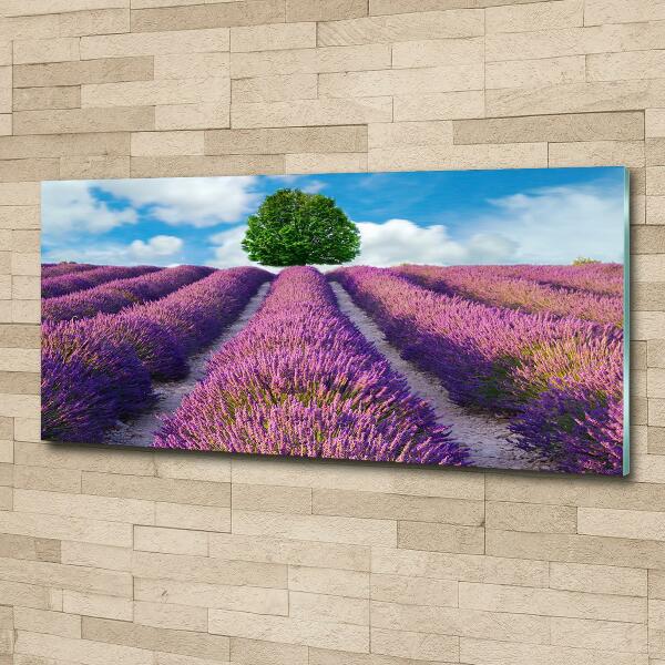 Glass art picture Lavender field