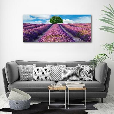 Glass art picture Lavender field