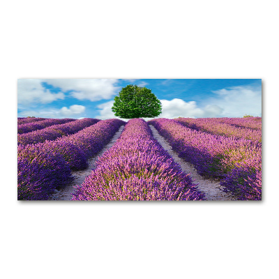 Glass art picture Lavender field