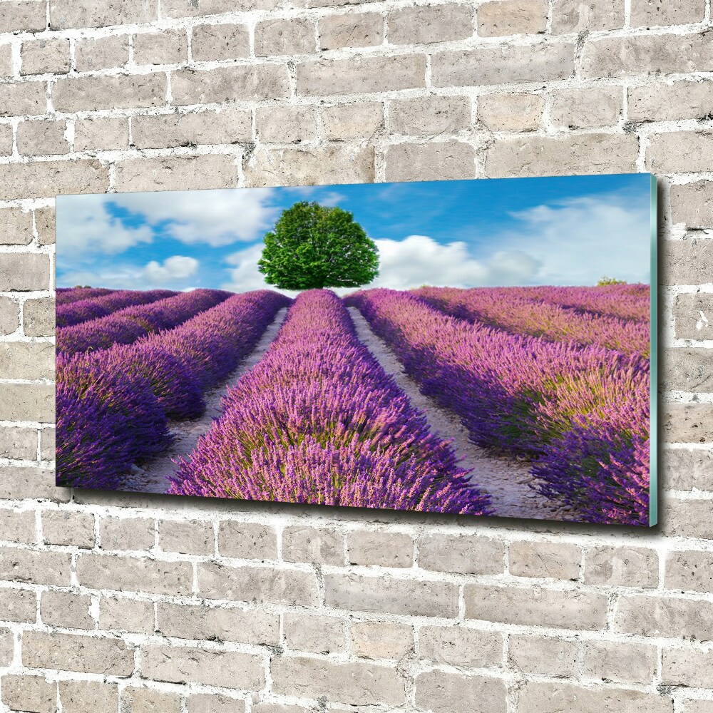 Glass art picture Lavender field