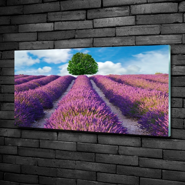 Glass art picture Lavender field