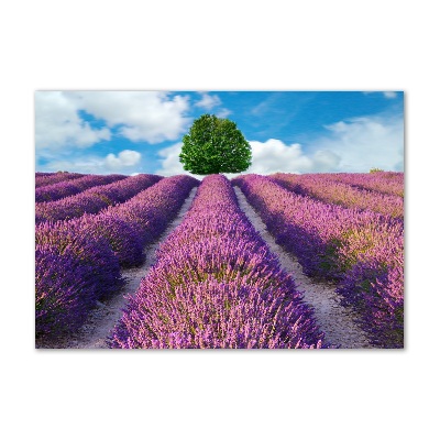 Glass art picture Lavender field