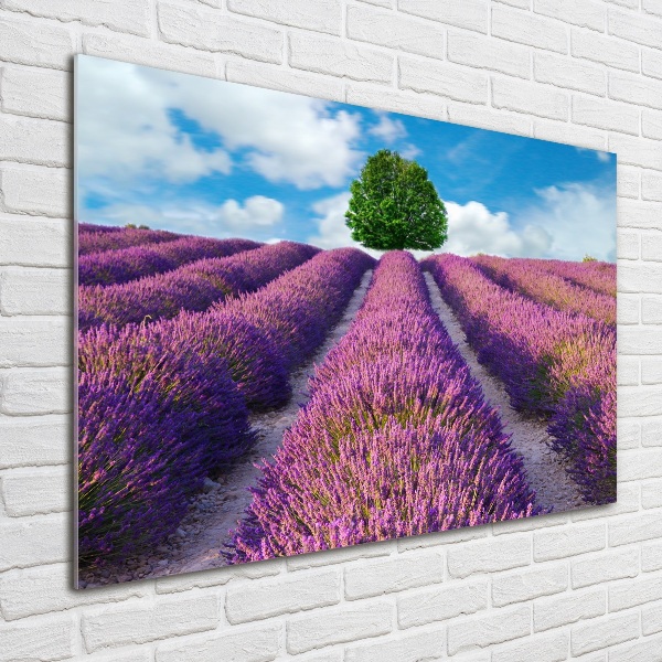 Glass art picture Lavender field