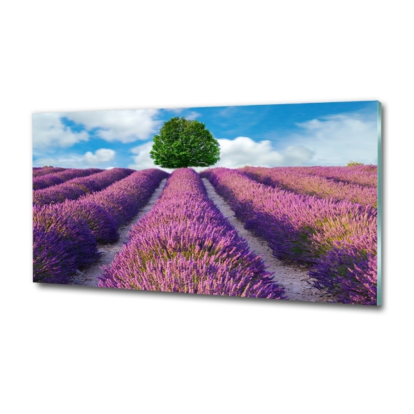 Glass art picture Lavender field