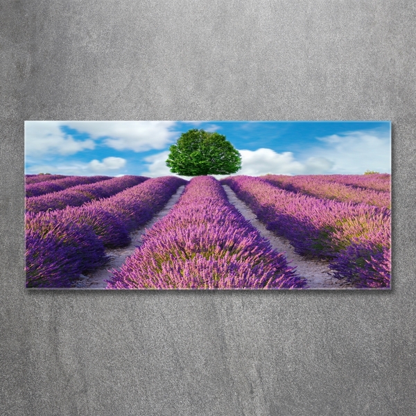 Glass art picture Lavender field