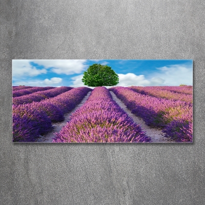 Glass art picture Lavender field