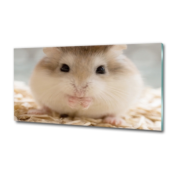 Wall art on glass Hamster