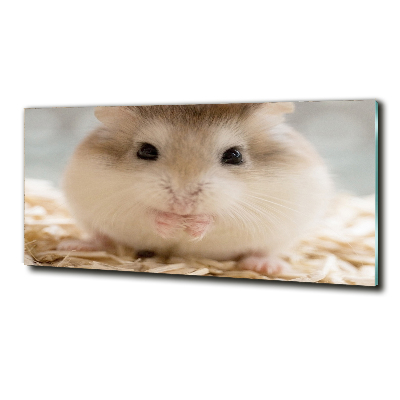 Wall art on glass Hamster