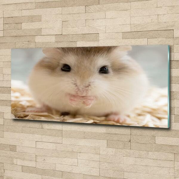 Wall art on glass Hamster