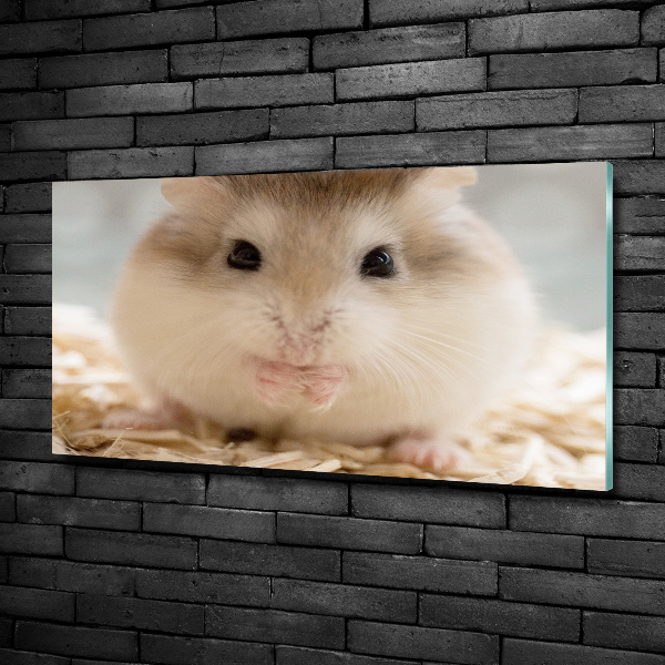 Wall art on glass Hamster