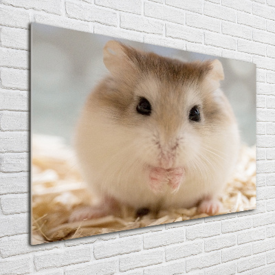 Wall art on glass Hamster