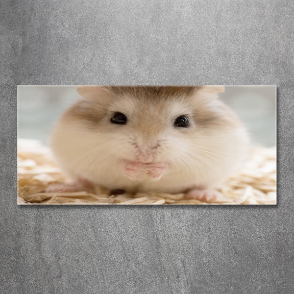 Wall art on glass Hamster