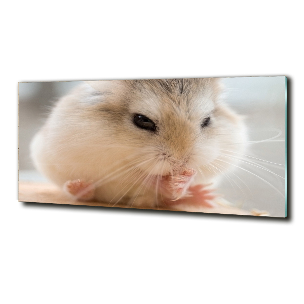 Wall art on glass Hamster