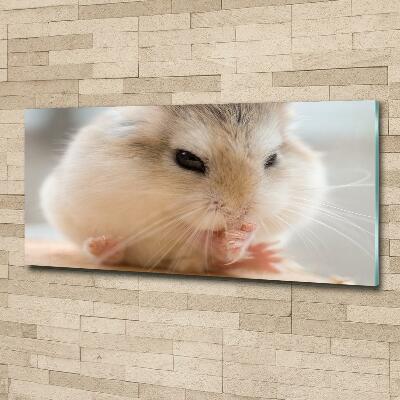 Wall art on glass Hamster