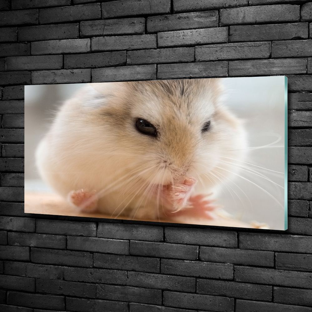 Wall art on glass Hamster