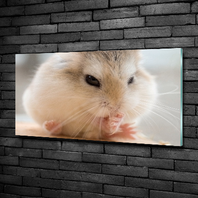 Wall art on glass Hamster