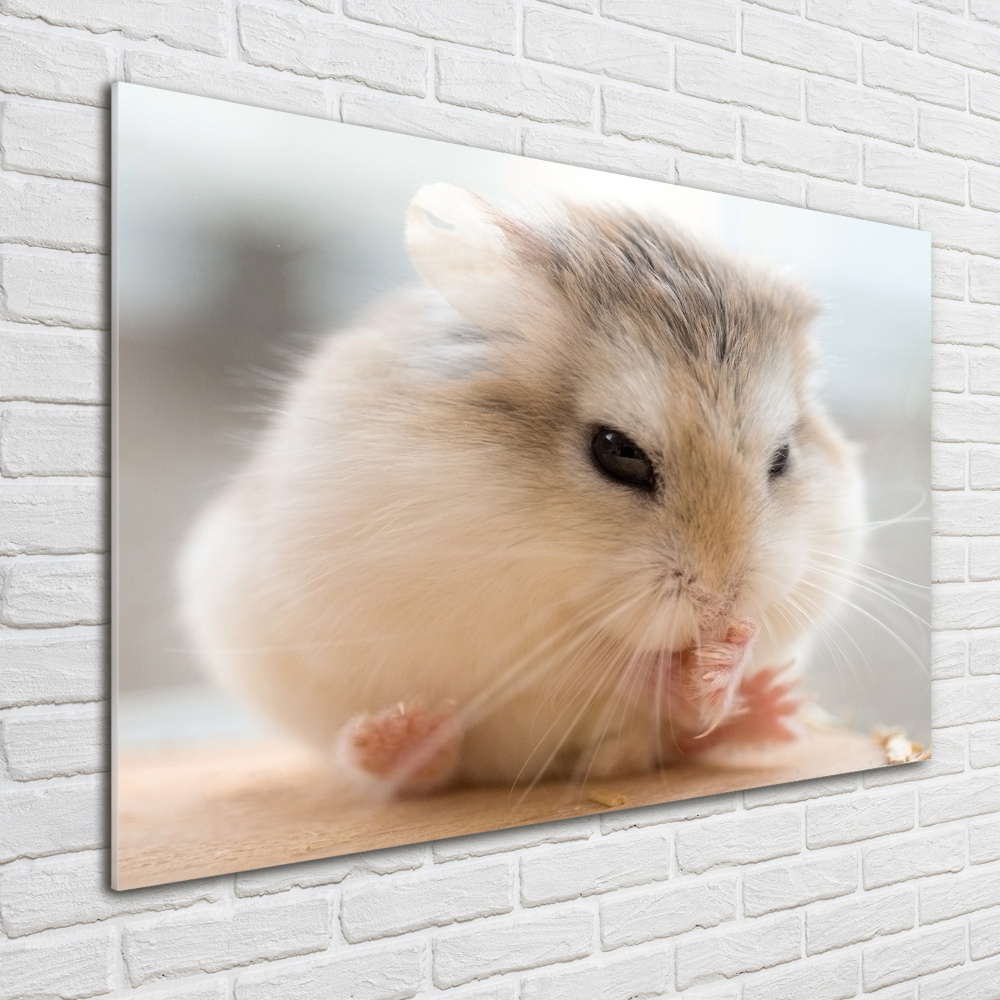 Wall art on glass Hamster