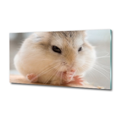 Wall art on glass Hamster