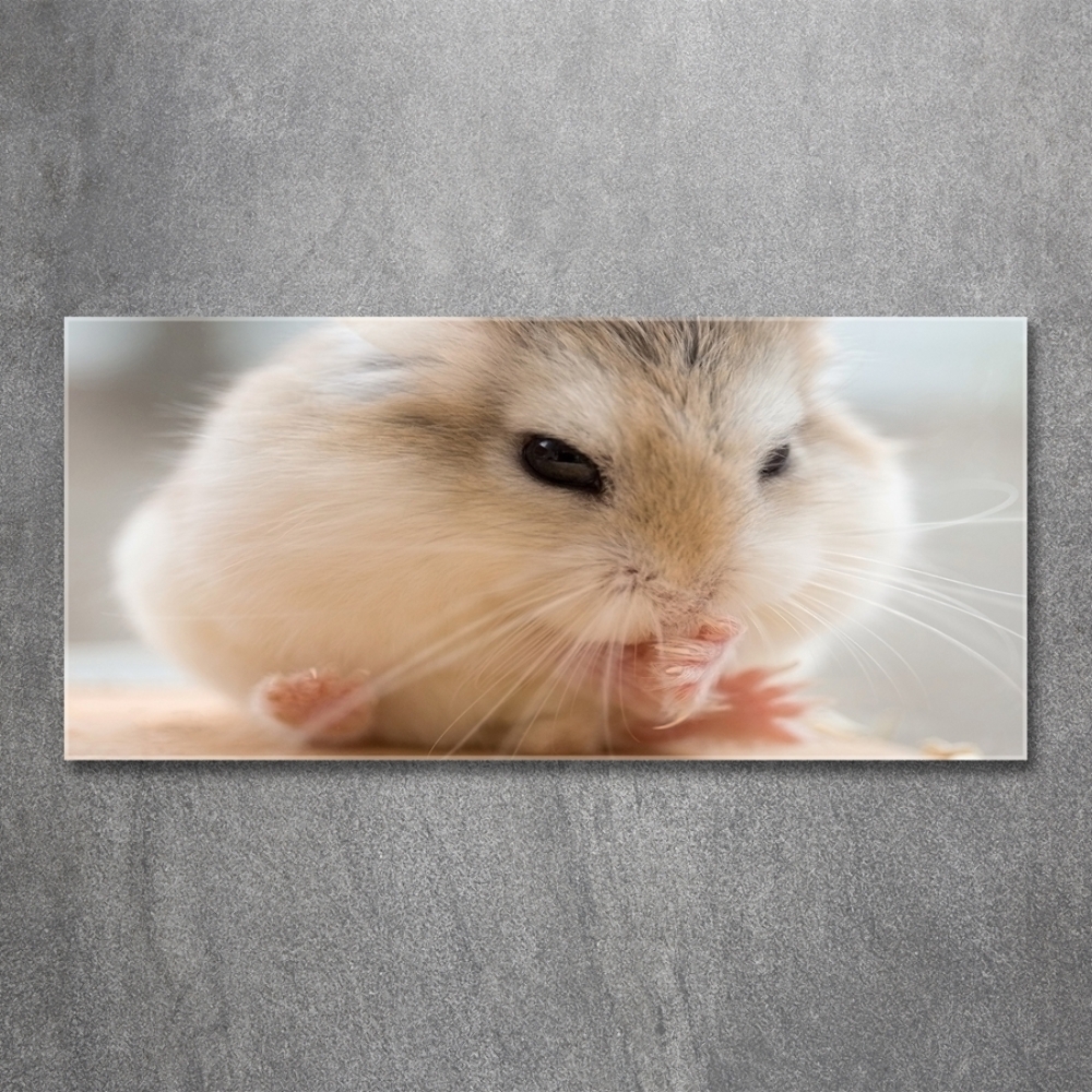 Wall art on glass Hamster