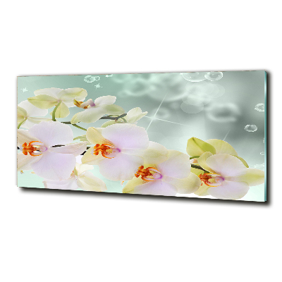 Glass wall art White orchid