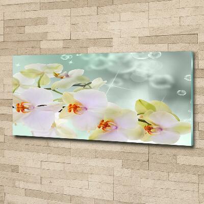 Glass wall art White orchid