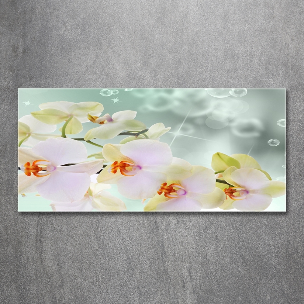 Glass wall art White orchid