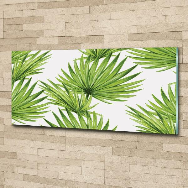 Photo printed on glass Tropical leaves