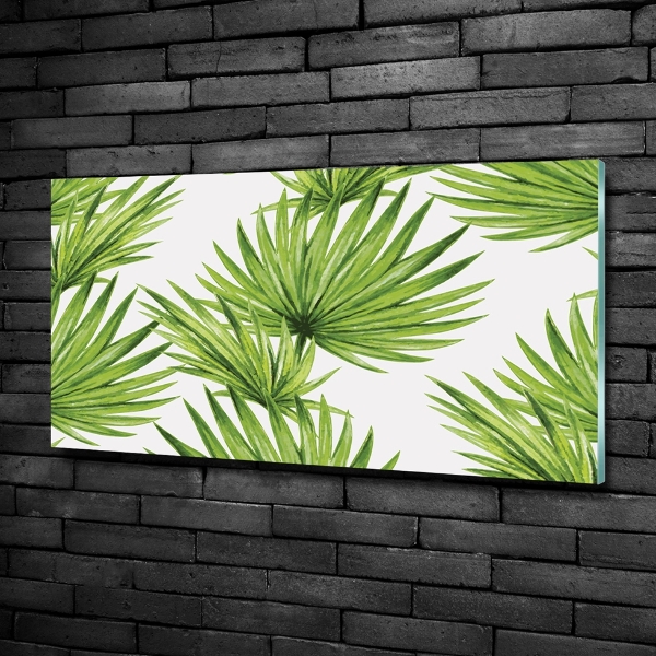 Photo printed on glass Tropical leaves