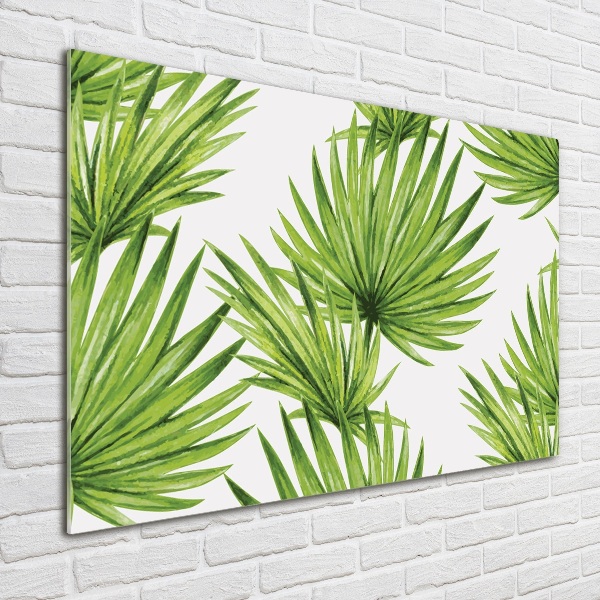 Photo printed on glass Tropical leaves