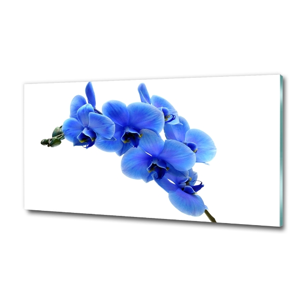 Wall art on glass Blue orchid