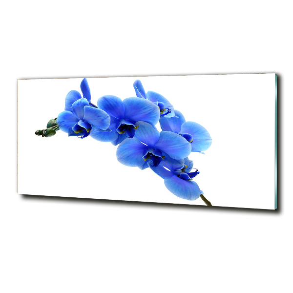 Wall art on glass Blue orchid