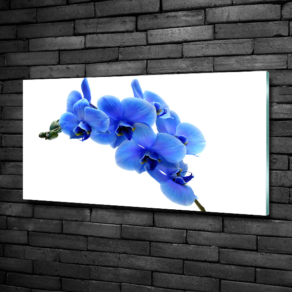 Wall art on glass Blue orchid